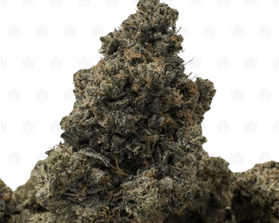 PINK NUKE (BIGS) - QUAD GAS