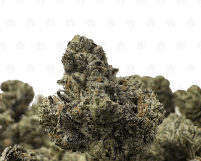 PINK NUKE (SMALLS) - QUAD GAS