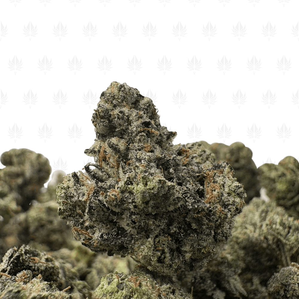 PINK NUKE (SMALLS) - QUAD GAS PINK NUKE (SMALLS) - QUAD GAS