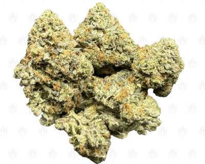 PINK PANTHER (LSO GAS)