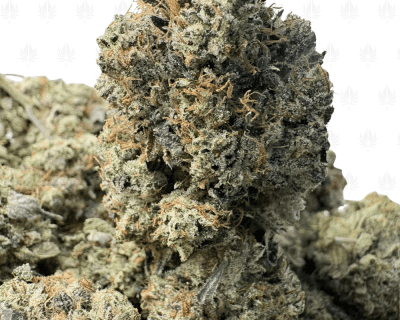 PINK PISTOL (SMALLS) - QUAD GAS