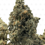 PINK STAR (TRIP GAS)