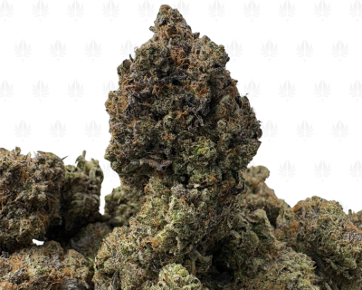 PRADA PINK (BIGS) - QUAD GAS