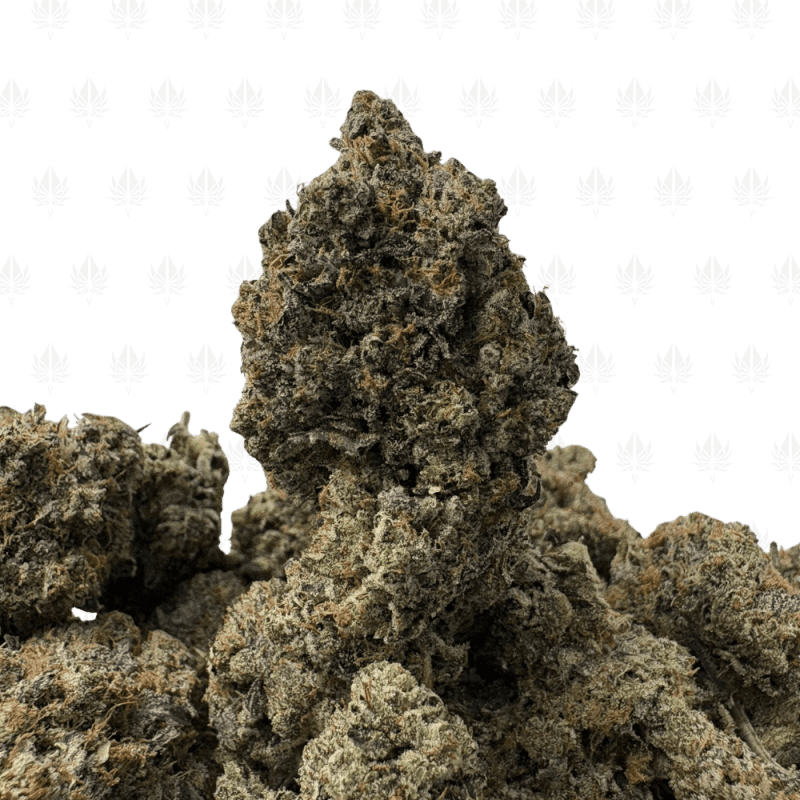 PRADA PINK (BIGS) - QUAD GAS PRADA PINK (BIGS) - QUAD GAS