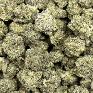 PRADA PINK (SMALLS) - QUAD GAS - Image 2