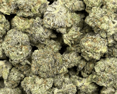 PRADA PINK (SMALLS) - QUAD GAS - Image 2