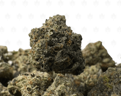 PRADA PINK (SMALLS) - QUAD GAS