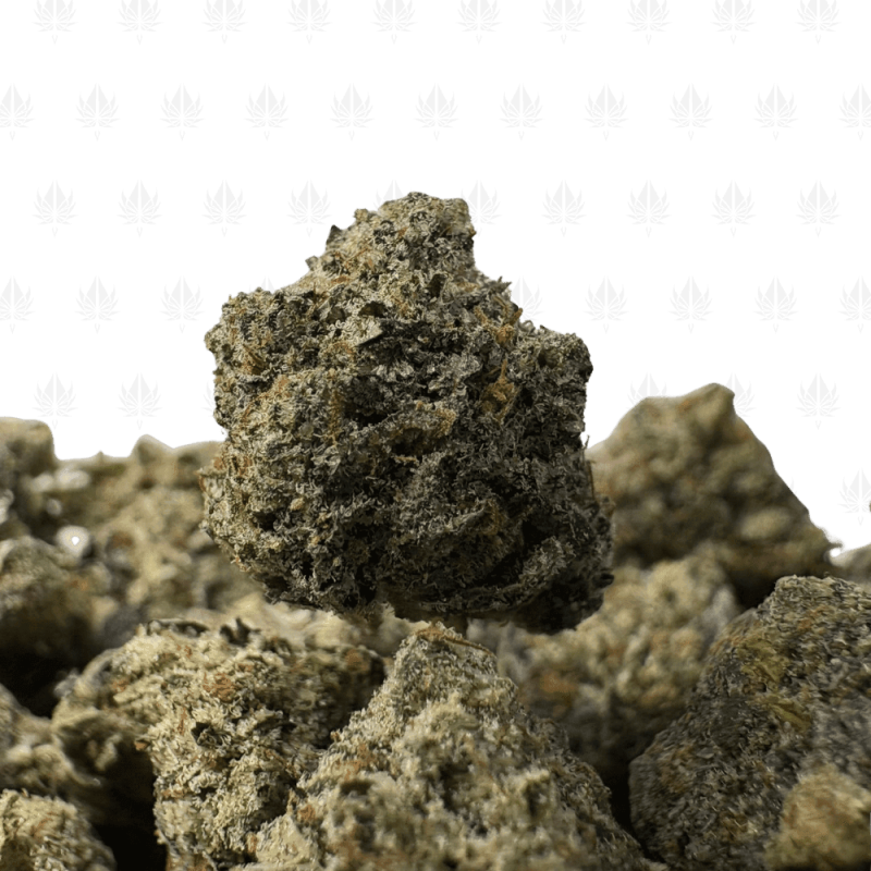 PRADA PINK (SMALLS) - QUAD GAS