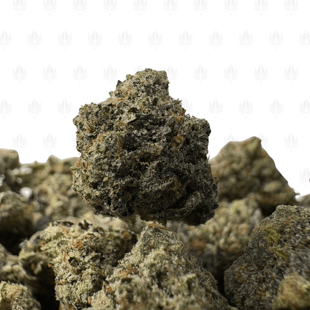 PRADA PINK (SMALLS) - QUAD GAS PRADA PINK (SMALLS) - QUAD GAS