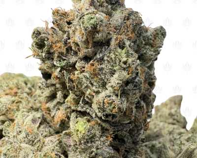 RHUDE OG (BIGS) - QUAD GAS