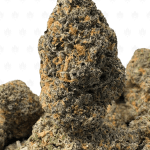 RUNTZ CANDY (BIGS) - QUAD EXOTICS