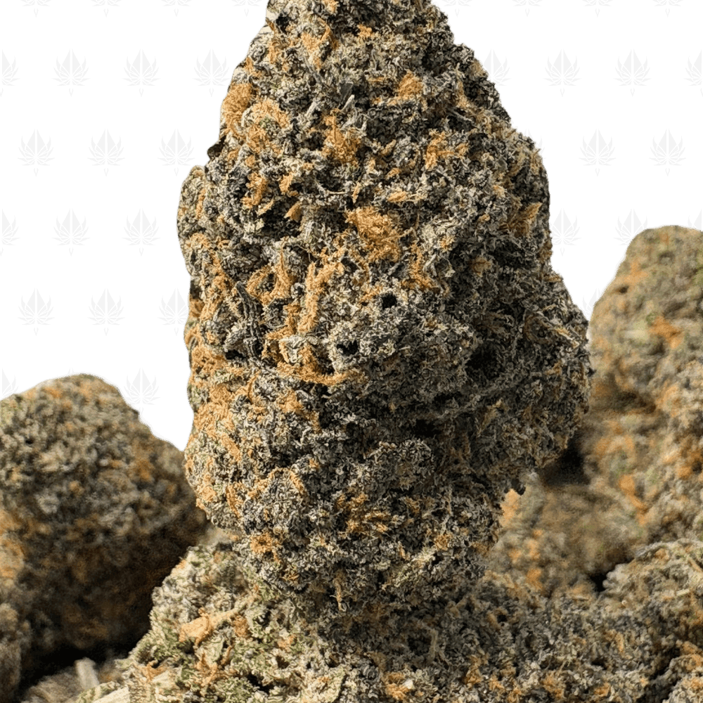 RUNTZ CANDY (BIGS) - QUAD EXOTICS