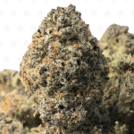 RUNTZ CANDY (SMALLS) - QUAD EXOTICS