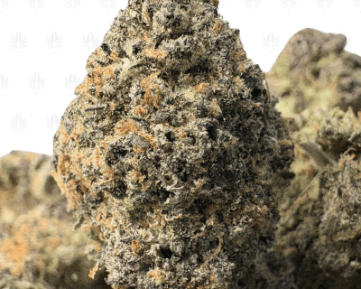 RUNTZ CANDY (SMALLS) - QUAD EXOTICS