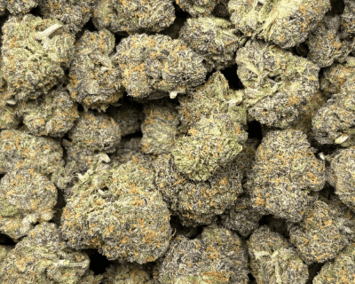 RUNTZ CANDY (SMALLS) - QUAD EXOTICS - Image 2