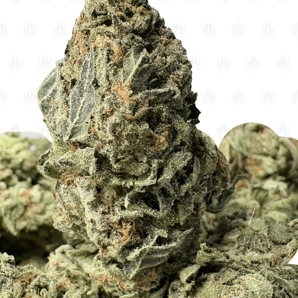 SKUNK BREATH (LOWS) SKUNK BREATH (LOWS)