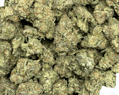 SKUNK BREATH (LOWS) - Image 3