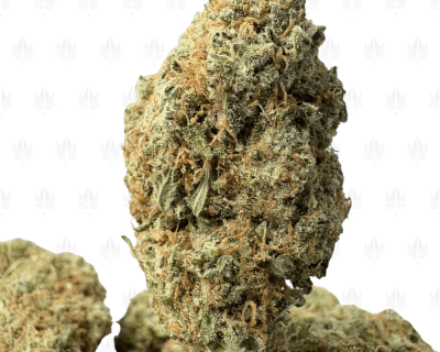 SUNNY D (BIGS) - SATIVA