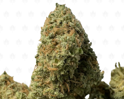 SUNNY D (SMALLS) - SATIVA