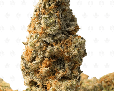 SUPER HAZE TRAIN (BIGS) - SATIVA