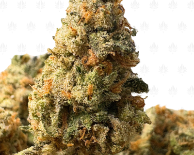 SUPER HAZE TRAIN (SMALLS) - SATIVA
