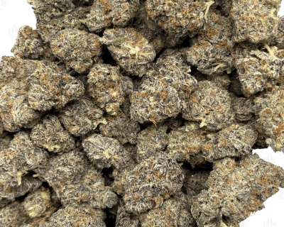 TRUFFLEGASM (BIGS) - TRIP EXOTICS - Image 3