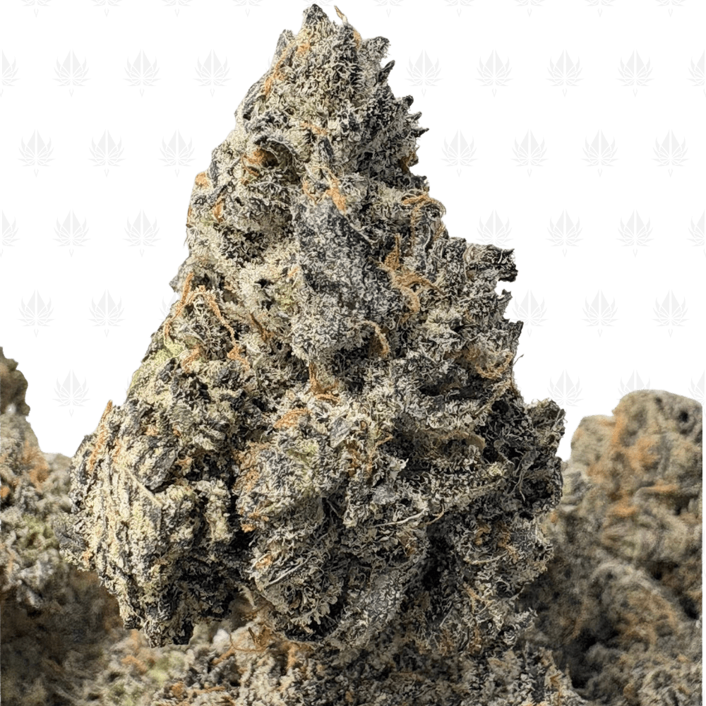 TRUFFLEGASM (BIGS) - TRIP EXOTICS