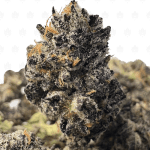 TRUFFLEGASM (SMALLS) - TRIP EXOTICS