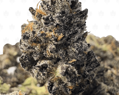 TRUFFLEGASM (SMALLS) - TRIP EXOTICS