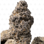 TROPICANA SUPERBOOF LSO (LSO EXOTICS)