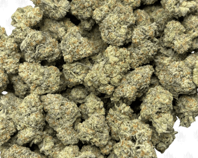 WIZARD FRITTER LSO V2 (BIGS) - LSO EXOTICS