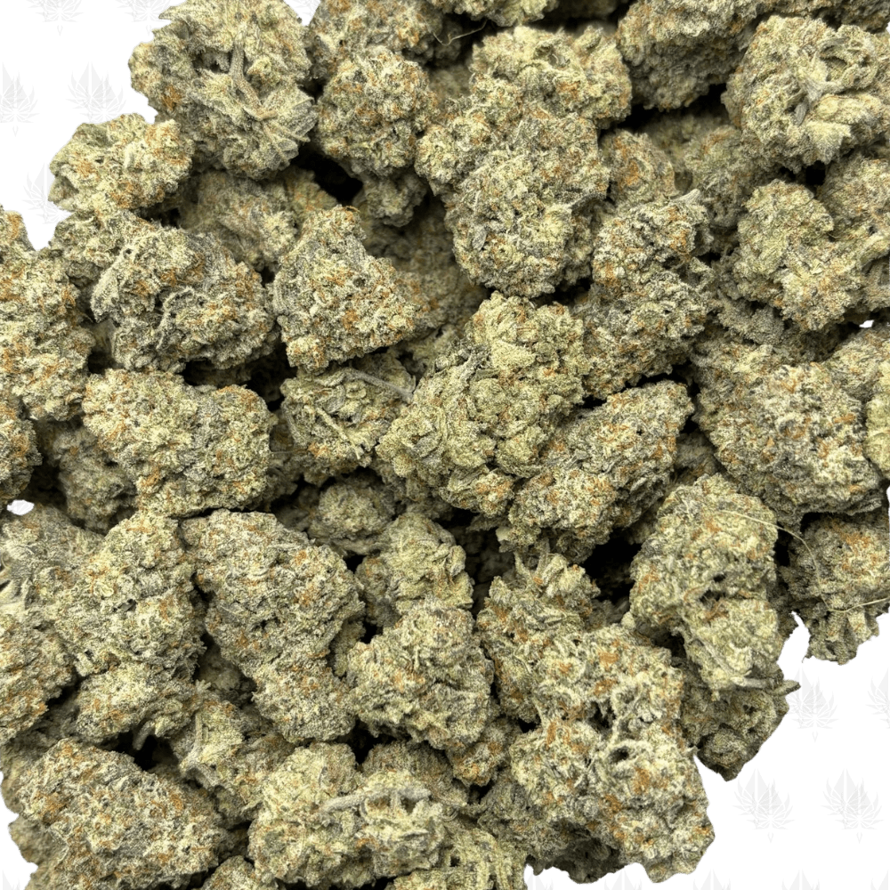 WIZARD FRITTER LSO V2 (BIGS) - LSO EXOTICS