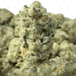 WIZARD FRITTER LSO V2 (SMALLS) - LSO EXOTICS