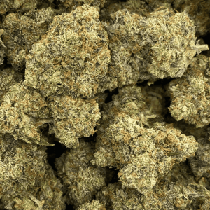 Black Gas-UG (3)