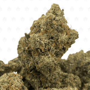 Black Gas-UG