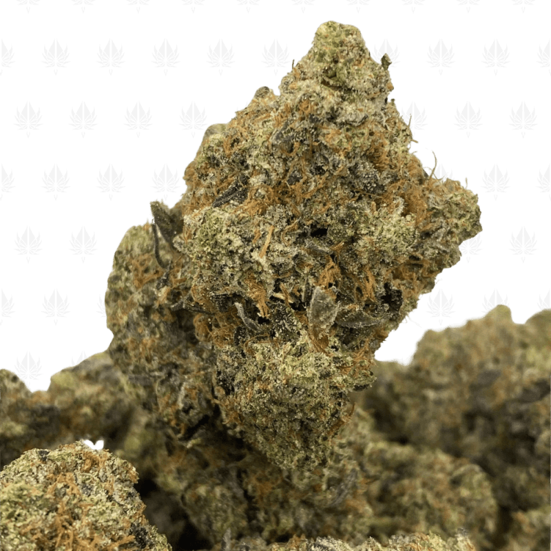 Black Gas-UG Black Gas-UG