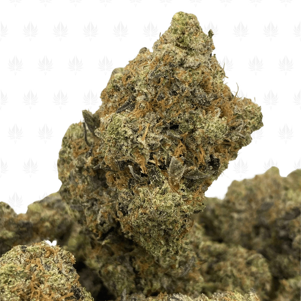 Black Gas-UG Black Gas-UG