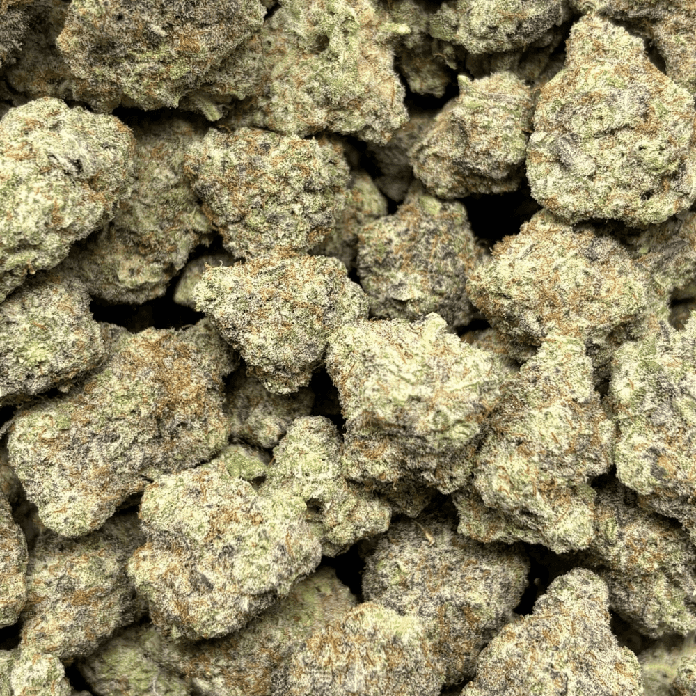 Blueberry Pancakes (3)