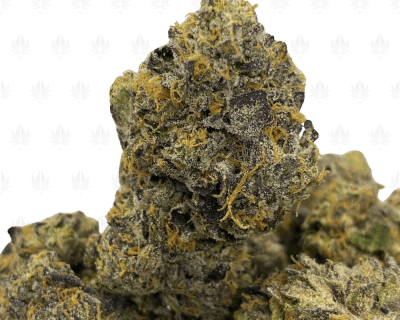 Creamy Gelato-UG (2)