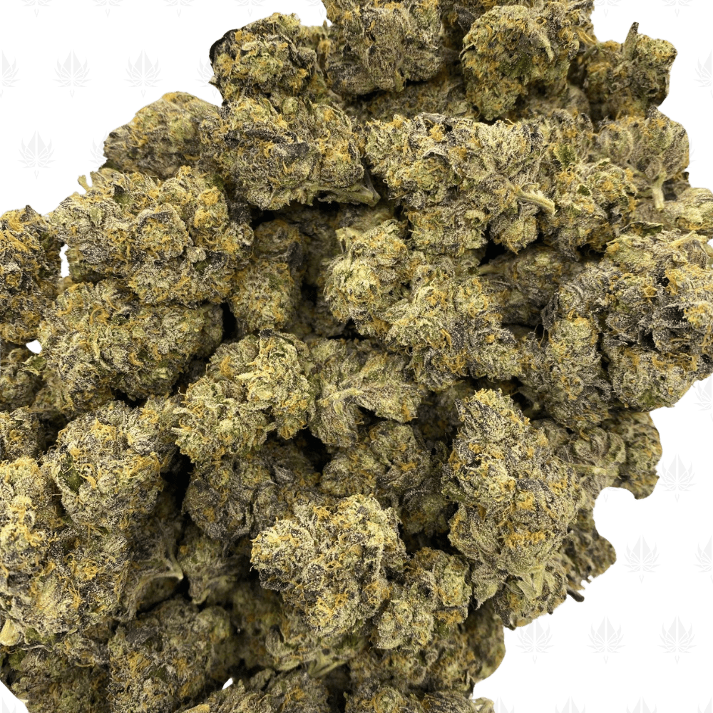 Creamy Gelato-UG (3)