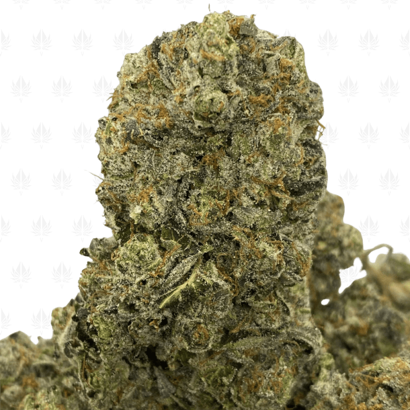 Diamond Pink-UG (3) Diamond Pink-UG (3)