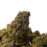 FIRST CLASS FUNK (BIGS) - LSO EXOTICS