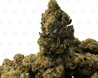 FRESH WATER BISCOTTI LSO (LSO EXOTICS)