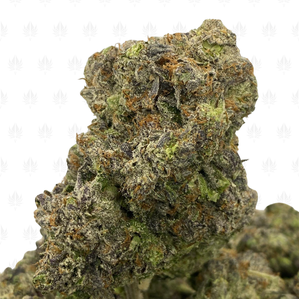 Luxury Pink-UG (3) Luxury Pink-UG (3)