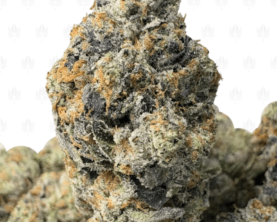 MYSTIC PINK (QUAD GAS)