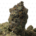 NARCOTIC PINK (QUAD GAS)