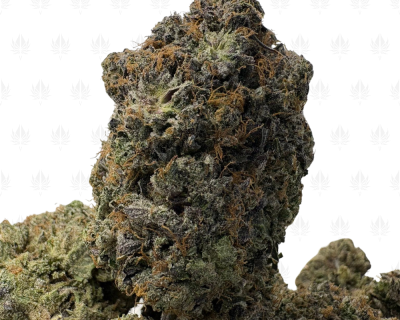 NARCOTIC PINK (QUAD GAS)