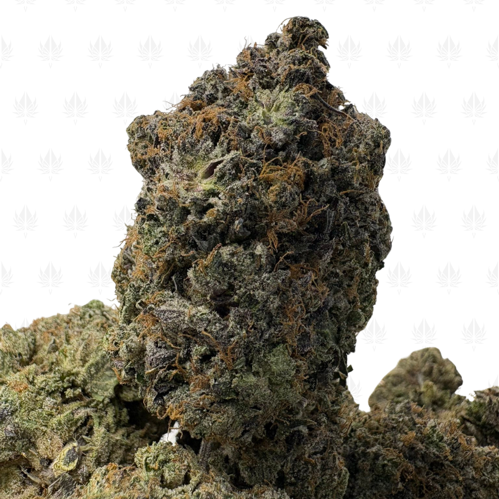 NARCOTIC PINK (QUAD GAS)