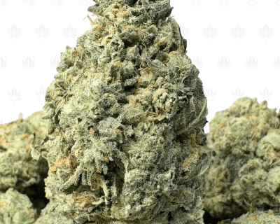 OG-KUSH (TRIP GAS)