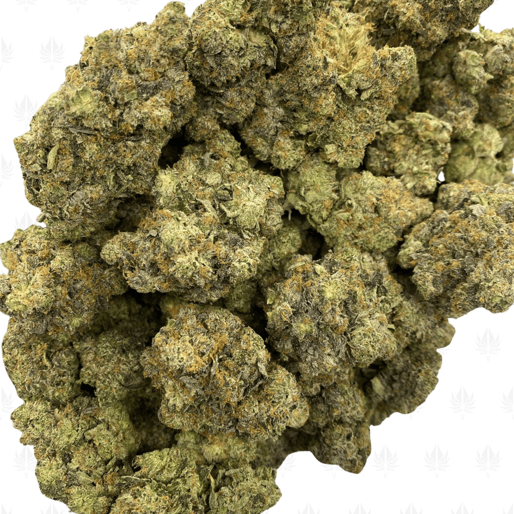 Pink Haunt-UG Pink Haunt-UG